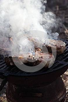 Grilled pork loins