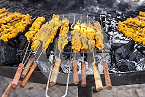 Grilled pork on skewers photo