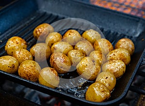 Grilled Potatoes: Charred Delights on the Barbecue