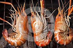 Grilled Prawns