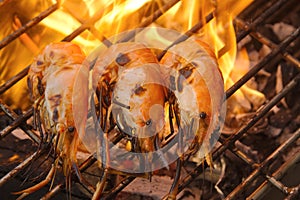 Grilled prawns on flaming