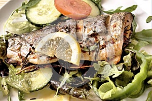 Grilled Rainbow Trout