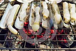 Grilled razor clams.