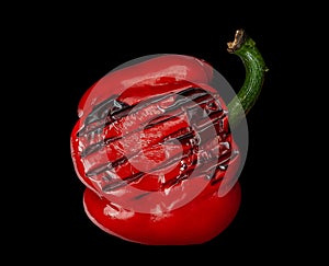 Grilled red pepper on black background