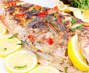 Grilled red snapper