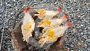 Grilled river prawns on the charcoal stove, thai street food