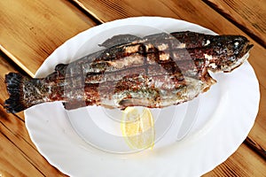 Grilled river trout on plate