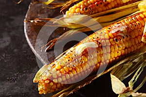 Grilled or roasted fresh corn, maize or mealies