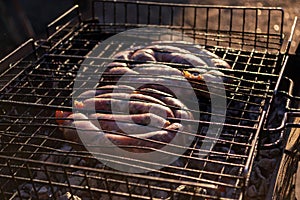 Grilled round sausages