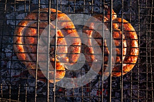 Grilled round sausages
