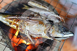 Grilled Saba