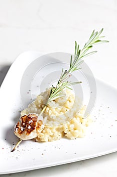 grilled Saint Jacques mollusc on rosemary needle with risotto