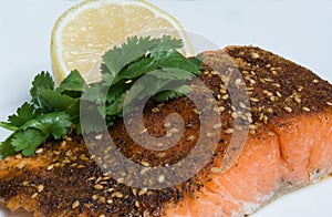 Grilled Salmon cajun spiced fillet with lemon and cilantro