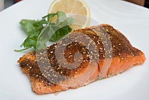 Grilled Salmon cajun spiced fillet with lemon and cilantro photo