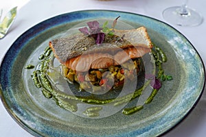 Grilled salmon fillet with ratatouille