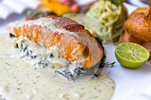 Grilled Salmon Fillet with Spinach and White Sauce