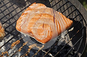 Grilled salmon fish fillet barbecue grill cooking