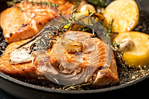 Grilled salmon fish with herbs, garlic and lemon