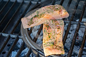 grilled salmon on the grill 01