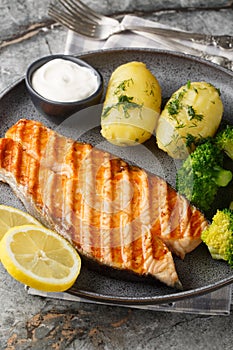 Grilled salmon steak with new potatoes, broccoli and cream sauce close-up in a plate. Vertical