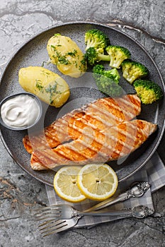 Grilled salmon steak with new potatoes, broccoli and cream sauce close-up in a plate. Vertical top view