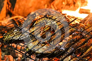 Grilled salmon steaks on a grill. Fire flame grill. Restaurant and garden kitchen