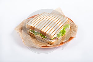 Grilled sandwhich on a plate