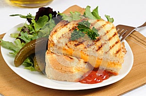 Grilled Sandwich