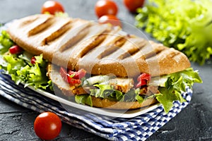 Grilled sandwich with chicken, green salad and vegetables