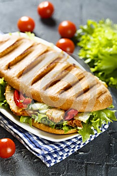 Grilled sandwich with chicken, green salad and vegetables