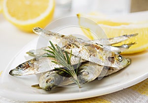 Grilled sardine fish