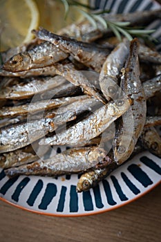 Grilled sardine fish