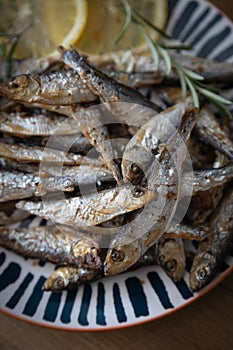 Grilled sardine fish