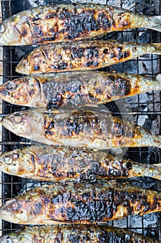 Grilled Sardine fishes 1