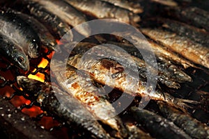 Grilled sardines