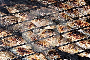 Grilled sardines