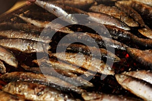 Grilled sardines
