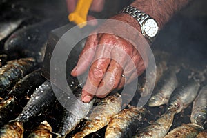 Grilled sardines