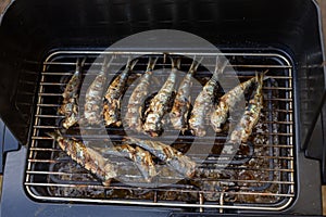 Grilled sardines, fish on the electric grill