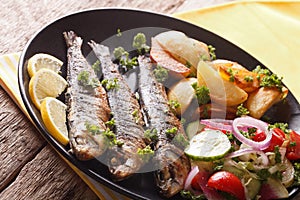 Grilled sardines with roasted potatoes and fresh salad closeup.