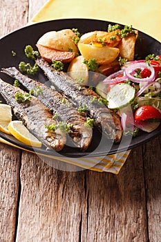 Grilled sardines with roasted potatoes and fresh salad closeup.