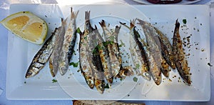 Grilled sardines  on the table in  a plate  in Preveza