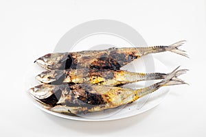 A grilled scad fish isolated on white background