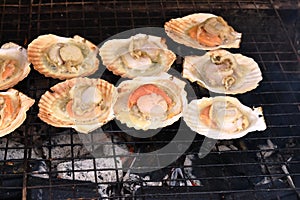 Grilled scallop with butter and garlic by charcoal on iron gridiron