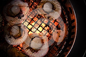 Grilled Scallop Seafood Cooking on Flaming Grill