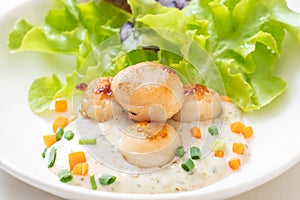 grilled scallops shell