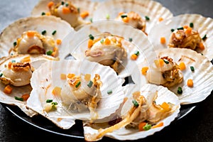 grilled scallops shell with butter