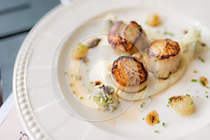 Grilled scallops