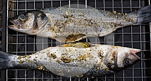 Grilled Sea Bass