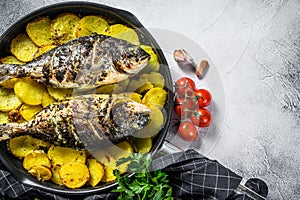 Grilled sea bream fish with potatoes in a pan. Gray background. top view. Copy space